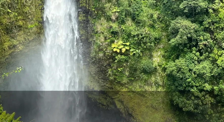 Akaka falls cascading into the jungly Kolekole gulch