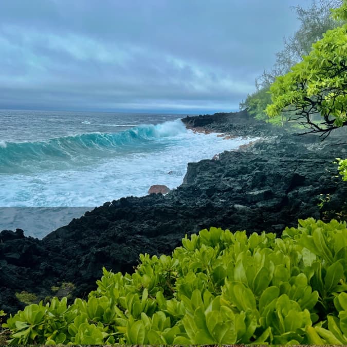 The Puna Coast on the Big Island, showing powerful ocean waves breaking against black lava rock cliffs and bright green coastal plants.The Puna Coast on the Big Island, showing powerful ocean waves breaking against black lava rock cliffs and bright green coastal plants.The Puna Coast on the Big Island, showing powerful ocean waves breaking against black lava rock cliffs and bright green coastal plants.The Puna Coast on the Big Island, showing powerful ocean waves breaking against black lava rock cliffs and bright green coastal plants.