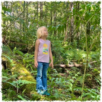 Light rainforest hike on the Big Island of Hawaiʻi through lush jungle and native vegetation